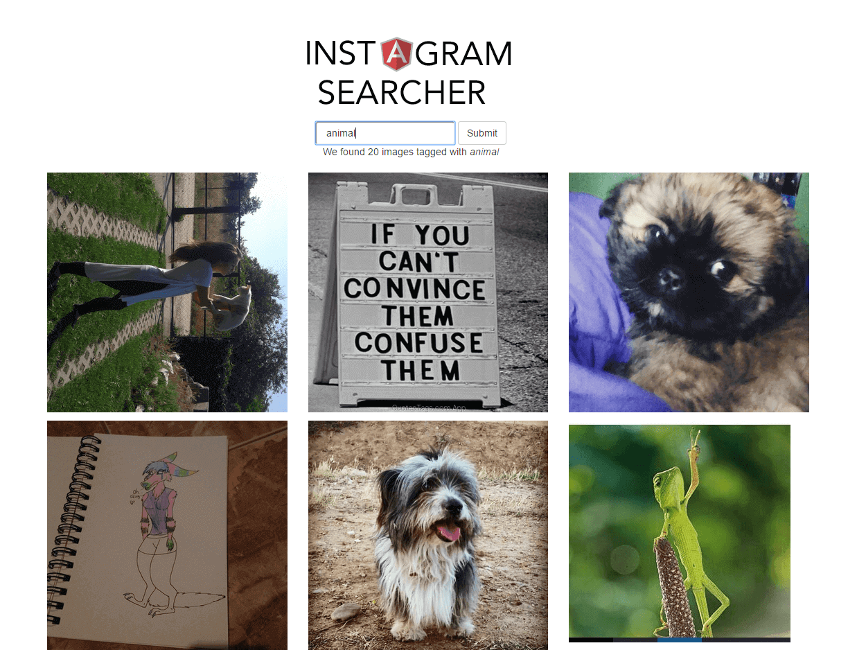 Instagram Search Image